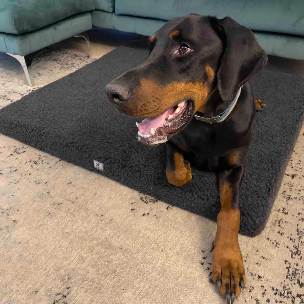 Hugo - pelziges Hundebett (Matratze)