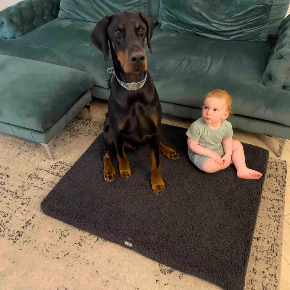 Hugó - szőrös kutyafekhely (matrac)