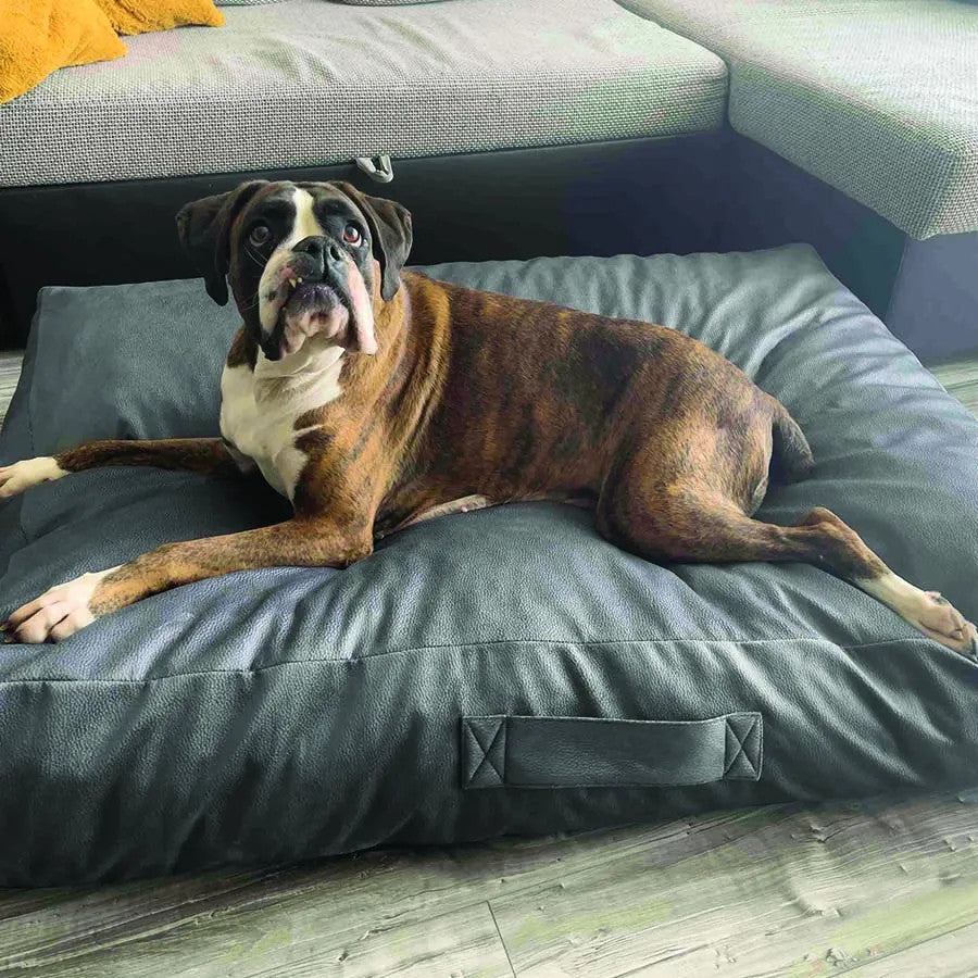 Perfect pet bed - Premium quality - Gray