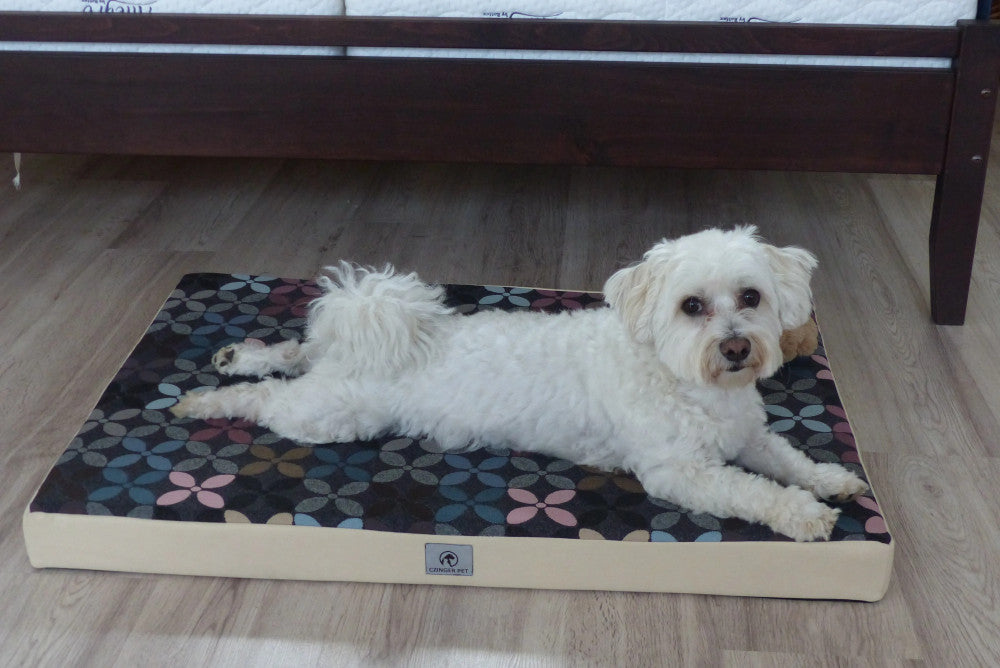Magic - Memory Hundematratze - XL