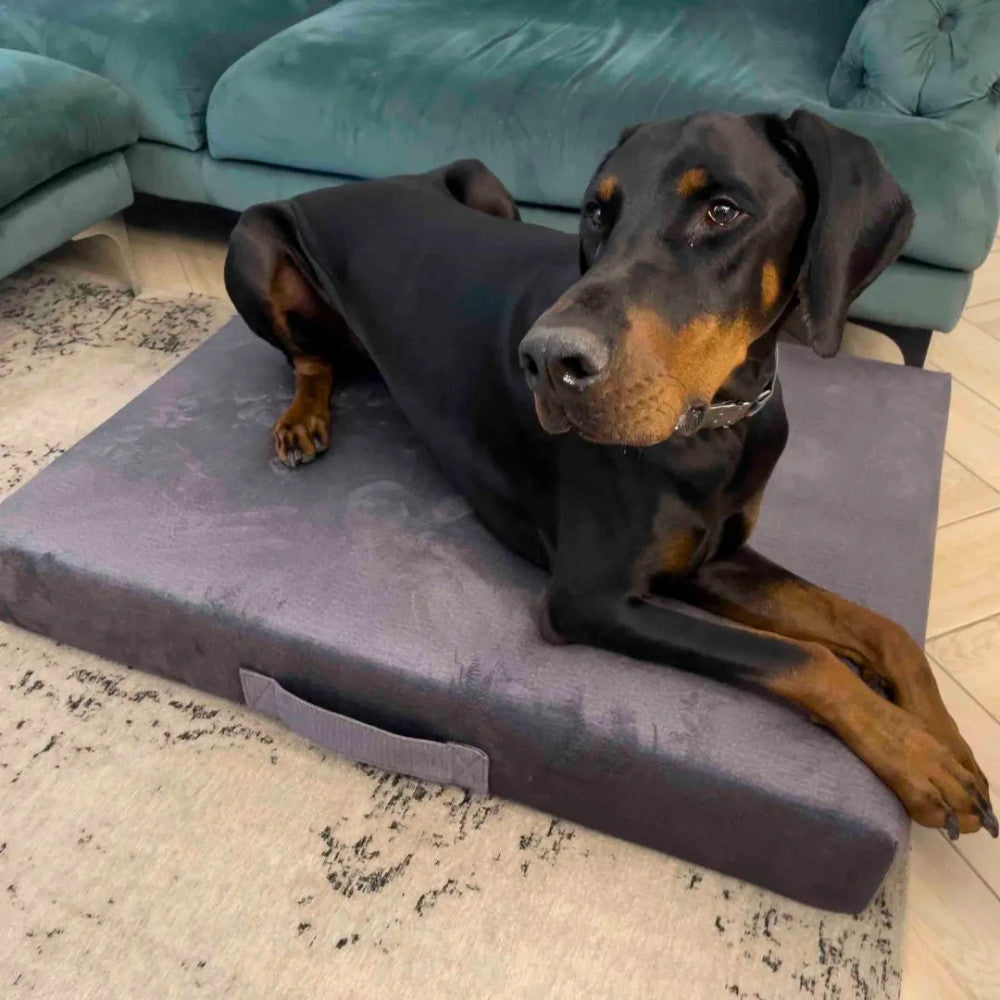 Premium Matratzen-Hundebett - Beige