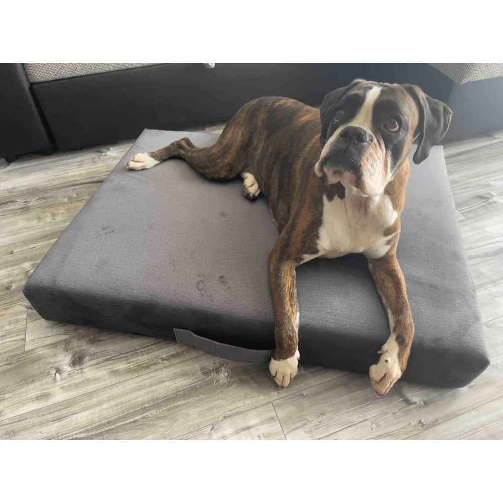 Premium Matratzen-Hundebett - Beige