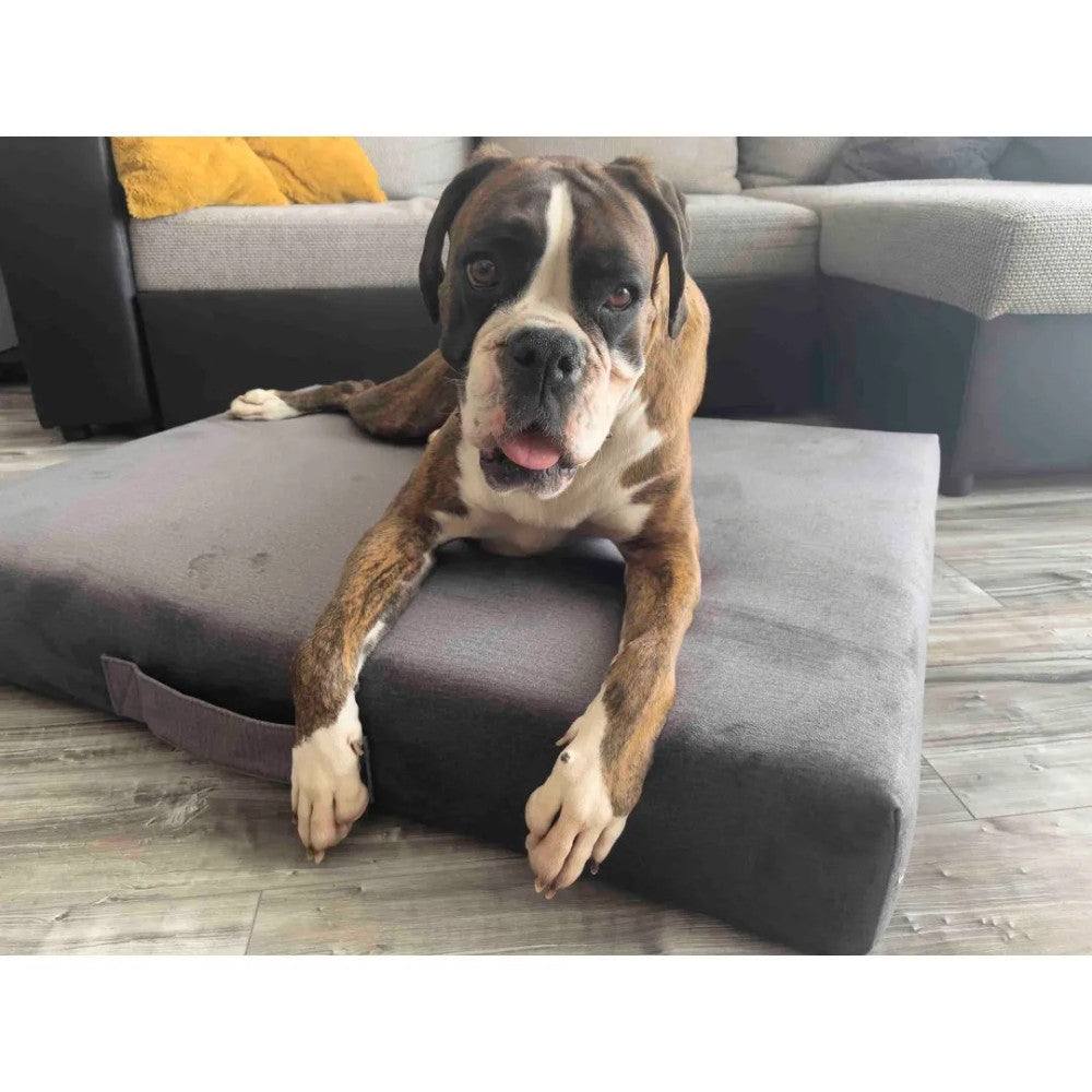 Premium Matratzen-Hundebett - Grau