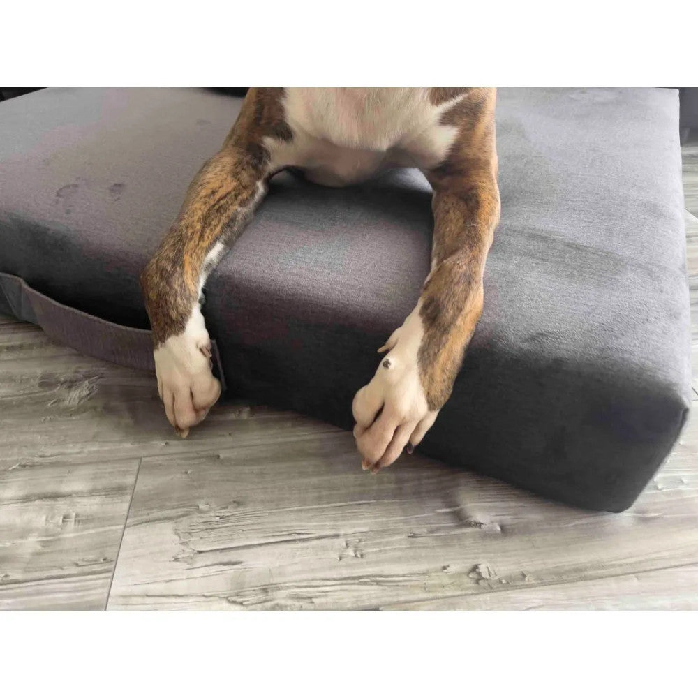 Premium Matratzen-Hundebett - Grau