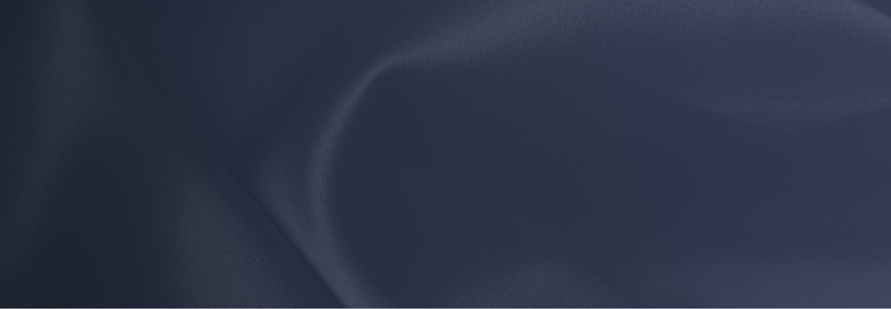 Background of style by category section